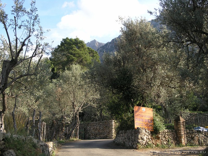 2006_11_19 11_58_10 OLYMPUS DIGITAL CAMERA         